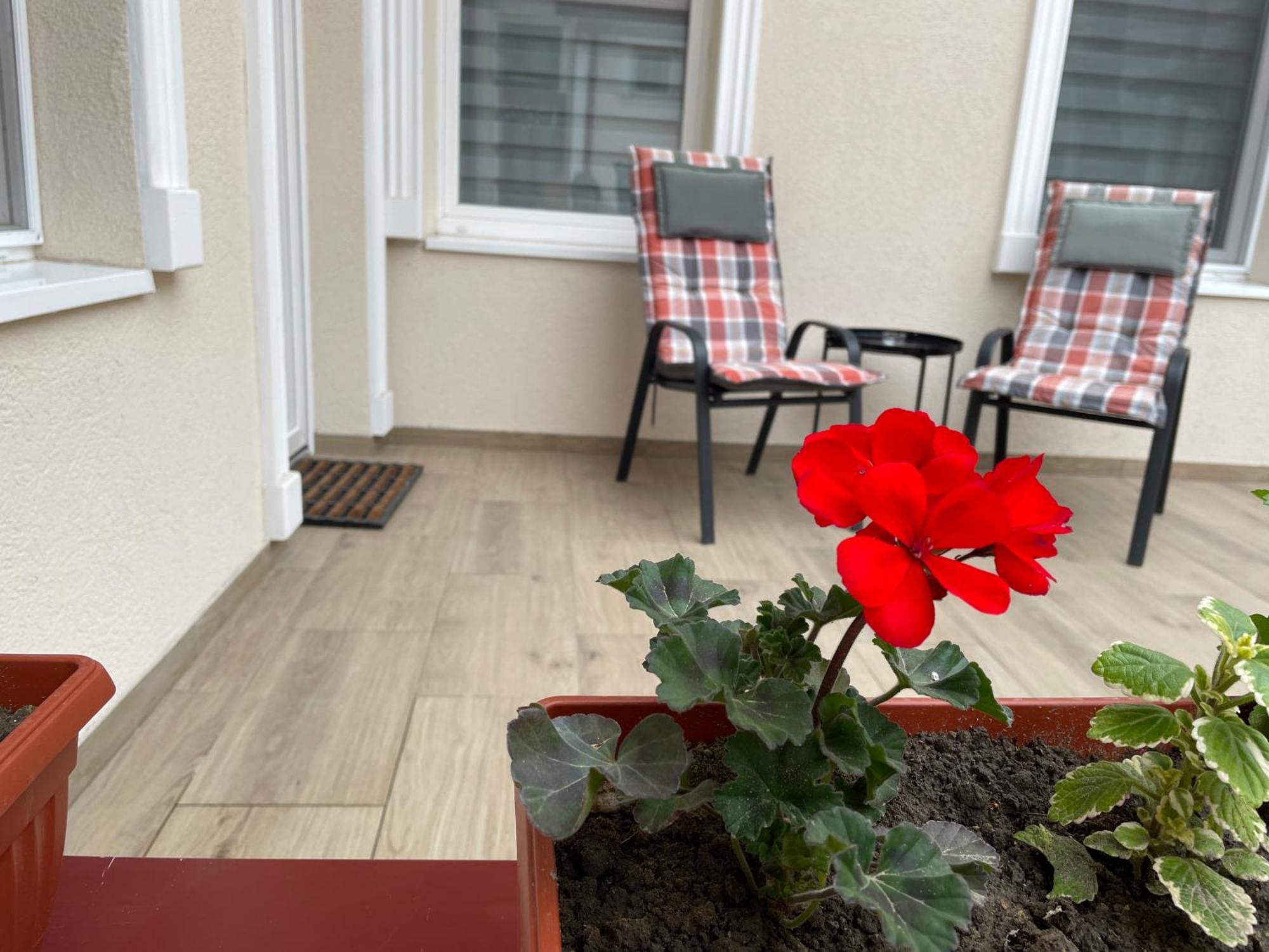 Urban Apartments سوبوتيتْسا المظهر الخارجي الصورة